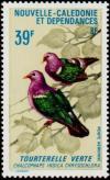 Colnect-860-556-Common-Emerald-Dove-Chalcophaps-indica.jpg