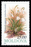 Stamp_of_Moldova_334.gif