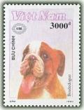 Colnect-1636-457-English-Bulldog-Canis-lupus-familiaris.jpg