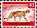 Colnect-2526-944-African-Golden-Cat-Profelis-aurata-.jpg