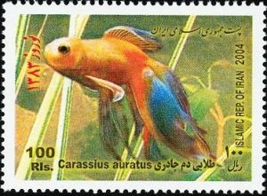Colnect-1592-438-Breed-Form-of-Goldfish-Carassius-auratus-auratus.jpg