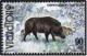 Colnect-1469-173-Wild-Boar-Sus-scrofa.jpg