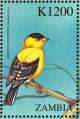 Colnect-3507-676-American-Goldfinch%C2%A0-%C2%A0Spinus-tristis.jpg