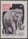 Colnect-1492-223-Asian-Elephant-Elephas-maximus.jpg