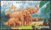 Colnect-1564-664-Asian-Elephant-Elephas-maximus.jpg