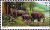 Colnect-1685-635-Asian-Elephant-Elephas-maximus.jpg