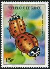 Colnect-2187-337-Lady-Beetle-Hippodamia-californica.jpg