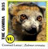 Colnect-3531-925-Crowned-Lemur-Eulemur-coronatus.jpg