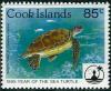 Colnect-4067-485-Green-turtle-Chelonia-mydas-in-water.jpg