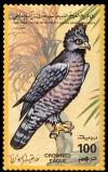 Colnect-4735-004-Crowned-Eagle-Stephanoaetus-coronatus.jpg