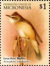 Colnect-5782-019-Great-Reed-Warbler---Acrocephalus-arundinaceus.jpg