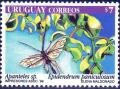 Colnect-1266-025-Braconid-Wasp-Apanteles-sp-Orchid-Epidendrum-paniculatu.jpg