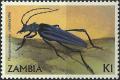 Colnect-2879-199-Longhorn-Beetle-Phasgonocnema-melanianthe.jpg