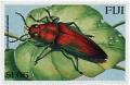 Colnect-3950-021-Jewel-Beetle-Cyphogastra-abdominalis.jpg