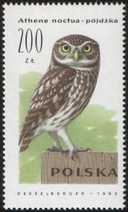 Colnect-1999-886-Little-Owl-Athene-noctua.jpg