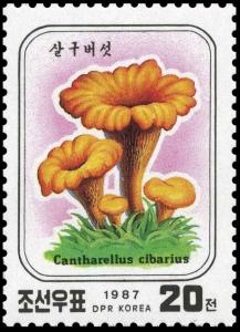 Colnect-3534-553-Chanterelle--Cantharellus-cibarius.jpg