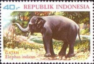 Colnect-1137-456-Asian-Elephant-Elephas-maximus.jpg