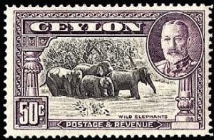 Colnect-1428-186-Indian-Elephant-Elephas-maximus.jpg