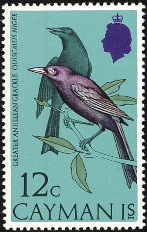 Colnect-1460-741-Greater-Antillean-Grackle-Quiscalus-niger.jpg