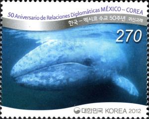Colnect-1605-423-Gray-Whale-Eschrichtius-robustus.jpg
