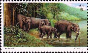Colnect-1685-635-Asian-Elephant-Elephas-maximus.jpg