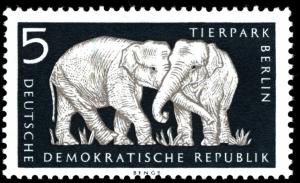 Colnect-1969-860-Asian-Elephant-Elephas-maximus.jpg