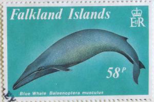 Colnect-2188-193-Blue-Whale-Balaenoptera-musculus.jpg