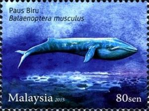 Colnect-2820-830-Blue-Whale-Balaenoptera-musculus.jpg