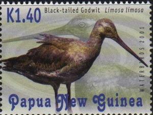 Colnect-3130-868-Black-tailed-Godwit-Limosa-limosa.jpg