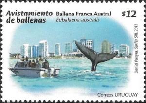 Colnect-4126-456-Southern-Right-Whale-Eubalaena-australis-diving-Boat.jpg