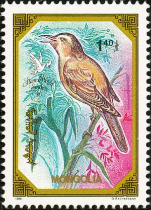Colnect-860-472-Great-Reed-Warbler-Acrocephalus-arundinaceus.jpg