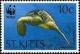 Colnect-1659-384-Green-Turtle-Chelonia-mydas-swimming.jpg