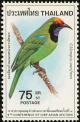Colnect-2229-753-Golden-fronted-Leafbird%C2%A0Chloropsis-aurifrons.jpg