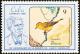 Colnect-2307-546-Cuban-Golden-Warbler-Dendroica-petechia-gundlachi.jpg