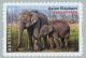 Colnect-3558-729-Asian-Elephant-Elephas-maximus.jpg