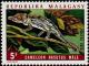 Colnect-955-488-Bignose-Chameleon-Chameleo-nasatus---Male.jpg