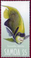 Colnect-1724-346-Emperor-Angelfish-Pomocanthus-imperator.jpg