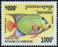 Colnect-3984-407-Queen-Angelfish-Holacanthus-ciliaris.jpg