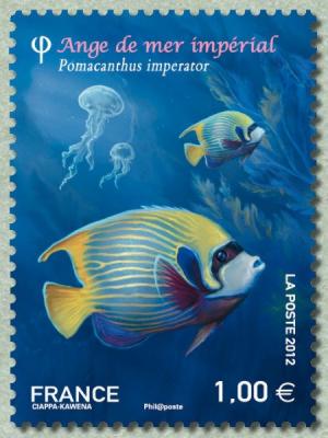 Colnect-1067-542-Emperor-Angelfish-Pomacanthus-imperator.jpg