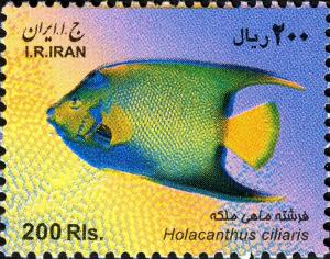 Colnect-1713-004-Queen-Angelfish-Holacanthus-ciliaris.jpg