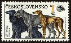 Colnect-3787-459-Afghan-Hound-Irish-Wolfhound-Greyhound-Canis-lupus-famili.jpg
