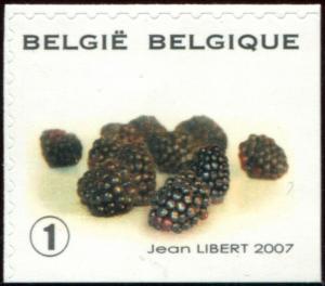 Colnect-5722-725-Fruit-Selfadhesive---Black-berry.jpg