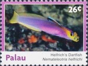 Colnect-5920-299-Helfrich-s-dartfish.jpg