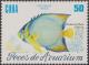 Colnect-1473-722-Queen-Angelfish-Holacanthus-ciliaris.jpg