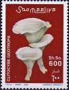 Colnect-4312-634-Clitocybe-geotropa.jpg