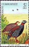 Colnect-735-960-Black-Francolin-Francolinus-francolinus.jpg