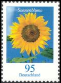 Colnect-4295-671-Harpalium-Cass---Sunflower.jpg