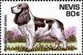 Colnect-4411-438-English-cosker-spaniel.jpg