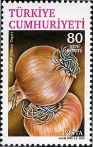 Colnect-957-126-Allium-cepa-Onions.jpg