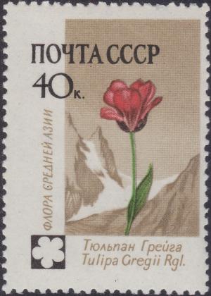 Colnect-1868-601-Tulip-Tulipa-Gregii.jpg